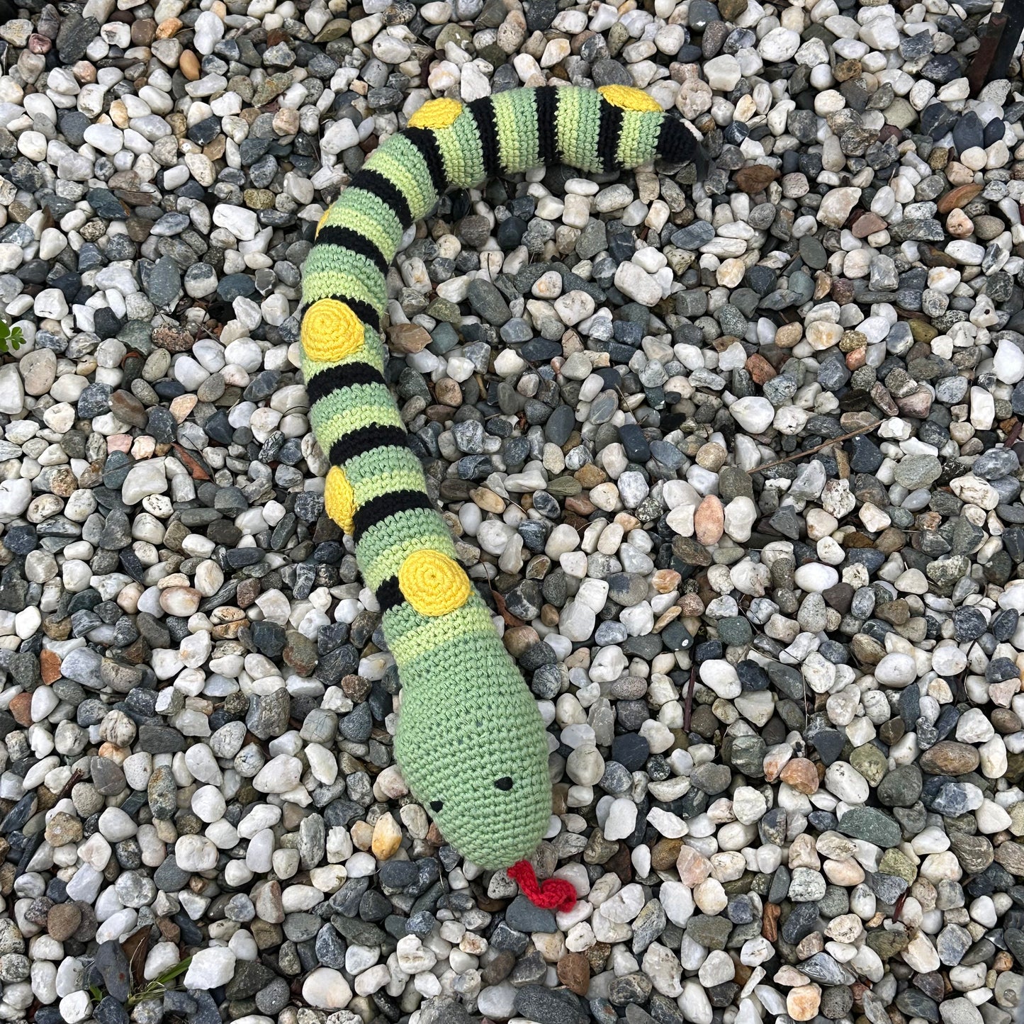 Snake Rattle - Green